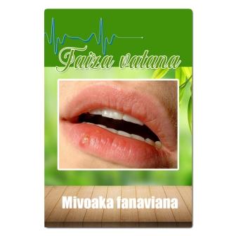 Mivoaka fanaviana