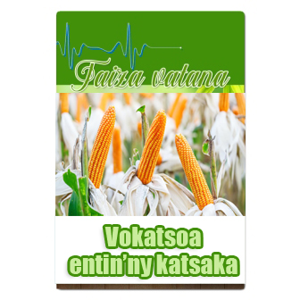 Vokatsoa entin'ny katsaka
