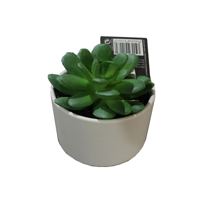 Atmosphera - Plante artificielle