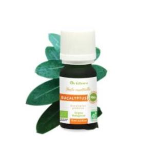 Actiflora - Huile essentielle Eucalyptus Globulus Bio - 10ml